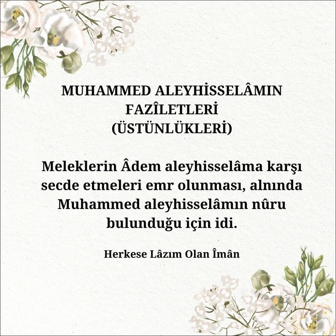 Üstünlükleri (6)